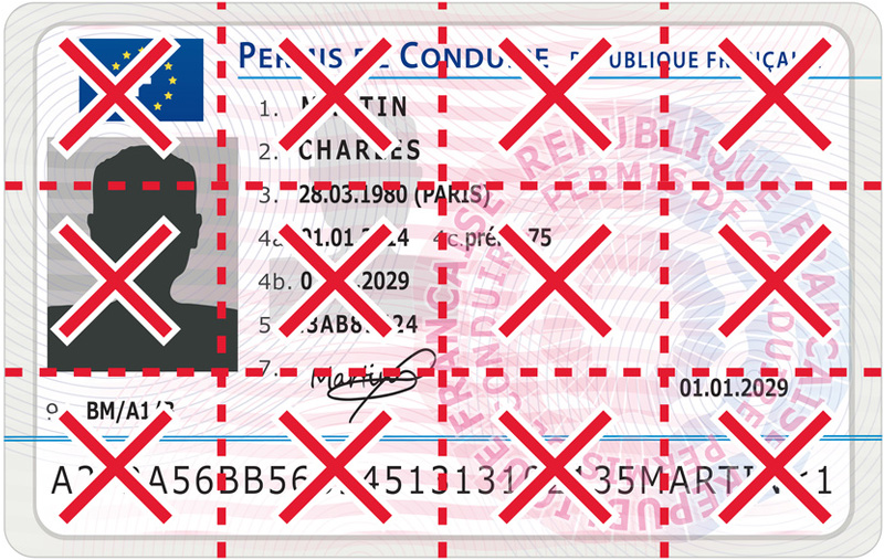 Relevé intégral de points du permis de conduire